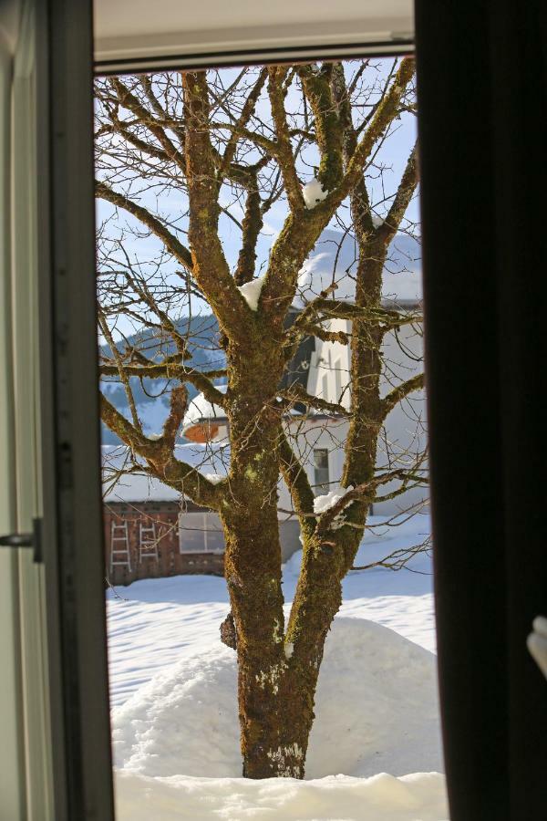 Apartmán Hager Gosau